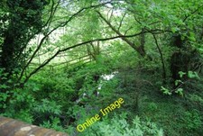 Photo 6x4 Small stream, Vincent Rd Wrotham Heath  c2013