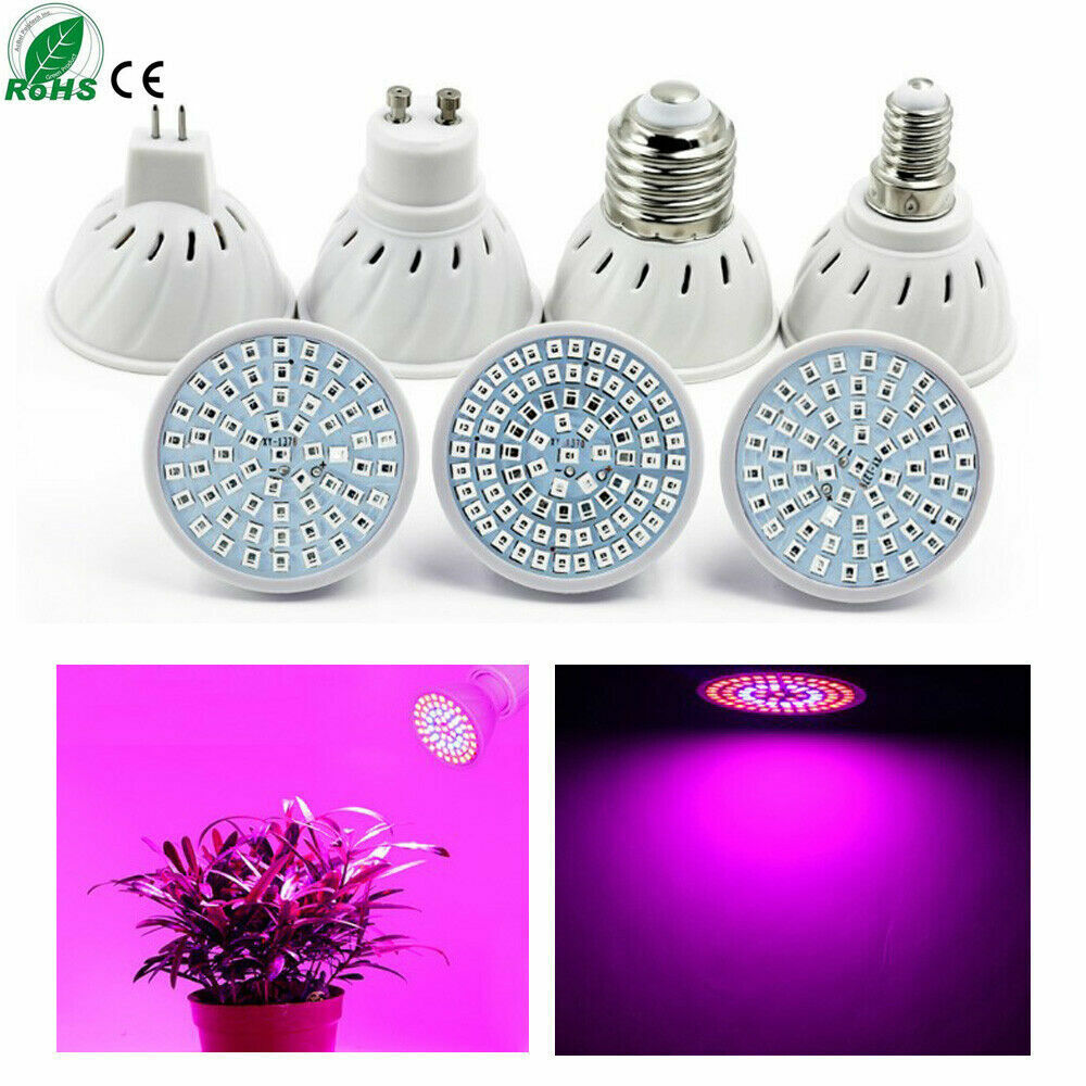 80 LED Plant Grow Beauty products Light Bulb E14 Flower Veg Hydrop E27 Now free shipping GU10 MR16