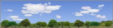 TRACKSIDE BACKDROP #470 Trees and sky HO Scal...