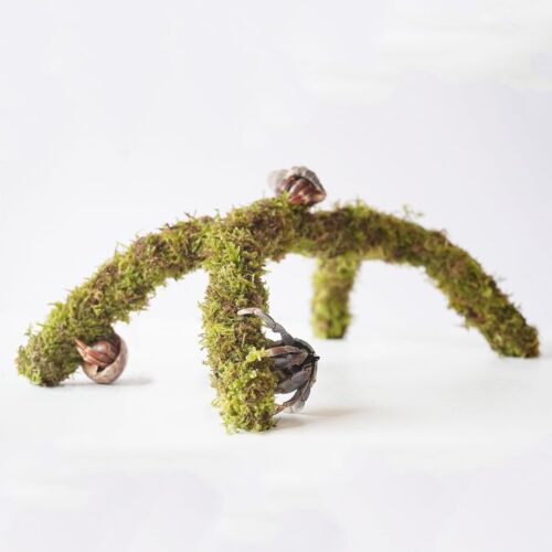 12 Inch Hermit Crab Climbing Toys, Ideal Habitat Tank 1 PCS