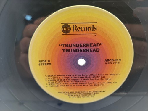 Thunderhead Self Titled LP Record 1975 ABC Ultrasonic Clean EX cVG - Picture 6 of 6
