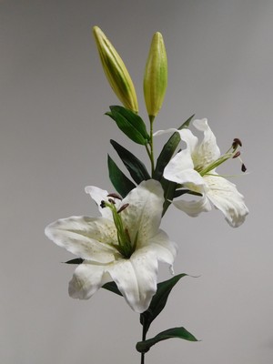 Lilie Tigerlilie Seidenblume Kunstblume weiß creme 85 cm 42305-05 F12