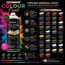 ProMatic Colour Coat RAL Unique Colours Gloss 1K Acrylic Spray Paint 400ml