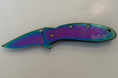 Kershaw USA 1600VIB Chive Assisted Opening Pocket Knife Ken Onion JUL 08 Stamp!