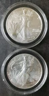 2021 and 2024 $1 American Silver Eagle Dollars in Capsules