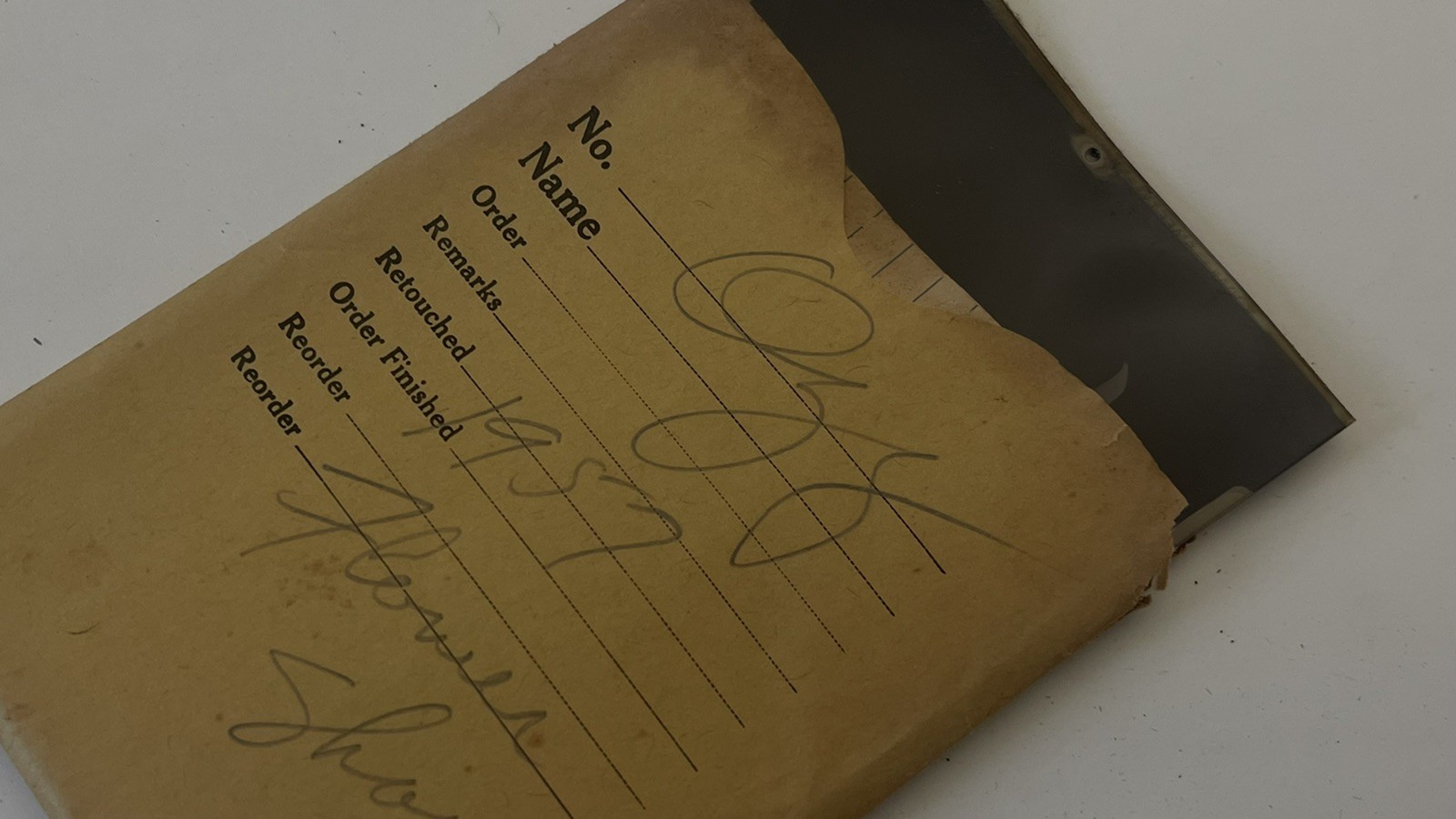 VTG Lot 4x5” Large Format 150+ B&W Photo Negatives Lot FLOWERS 1950s Damaged COA