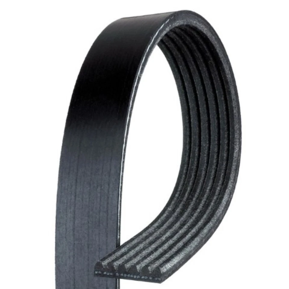 Cinturón Serpentine ACDelco genuino para Chevy Aveo5 2007 2008 | Goma reforzada Foto 2 de 4