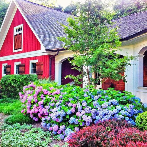 Flowers all Year Round Flower Seeds Sowing for all Seasons About 20pcs Garden - Picture 4 of 10
