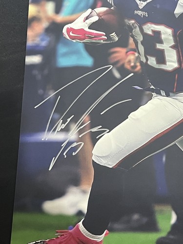 Dion Lewis Signed 16x20 Photo New England Patriots JSA Pose 2 - Picture 2 of 3