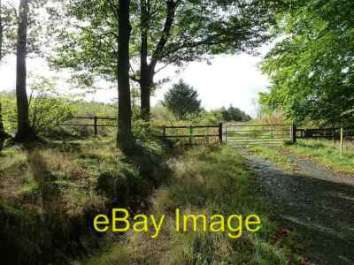 Foto 6x4 Eingang zum Bettws Hill Wood Ein Großteil dieser Plantage wurde um 2013