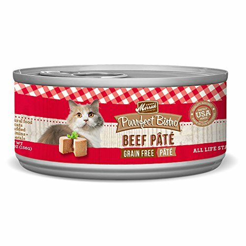merrick kitten wet food