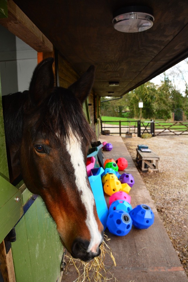Hay Balls For Horses 50mm Or 75mm Feed Holes Free UK Delivery hay-balls-for-horses-50mm-or-75mm-feed-holes-free-uk-delivery