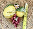 Italian Capodemonte Handcrafted Lemon & Grapes Wall Hanging Made In Italy — photo 8