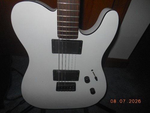 esp ltd guitar TE-406