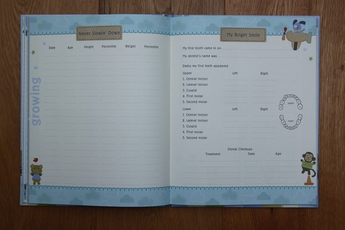Stepping Stones Baby Boy Memory Book ~ Cars & Planes ~ Years 1 to 5 - Picture 14 of 14