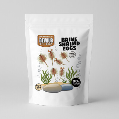 Brine Shrimp Eggs (Artemia Cysts) 25 grams of 90% Hatch Rate Fish Food