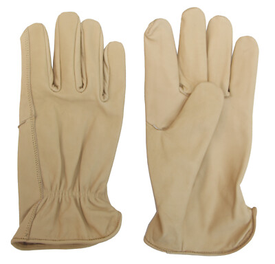 Indiana Jones Adventure Gloves