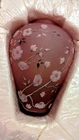 Limited Edition FENTON Signed & Numbered Hand Painted Floral Vase w/Box c-1984