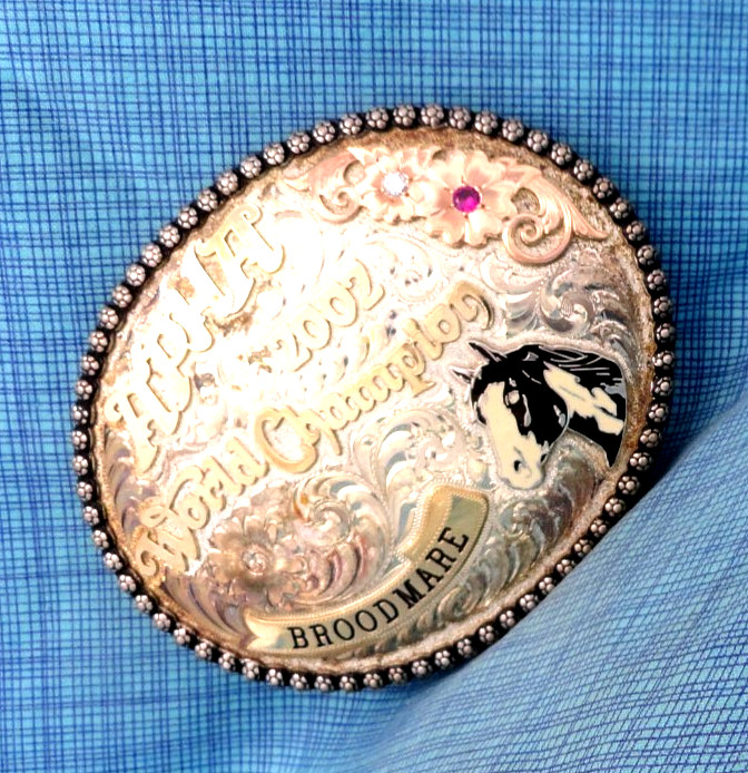 APHA 2002 World Champion Broodmare Belt Buckle SS 10K Overlay Vtg Gist SS.GMP007