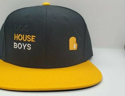 baseball cap dog house