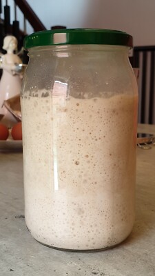 sourdough starter dried pulverized yeast from ALASKA     A