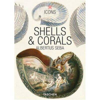 Shells & Corals (Icons) - Paperback By Seba, Albertus - GOOD