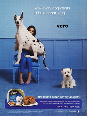 print ad GREAT DANE Cesar dog food 2012 magazine art clipping