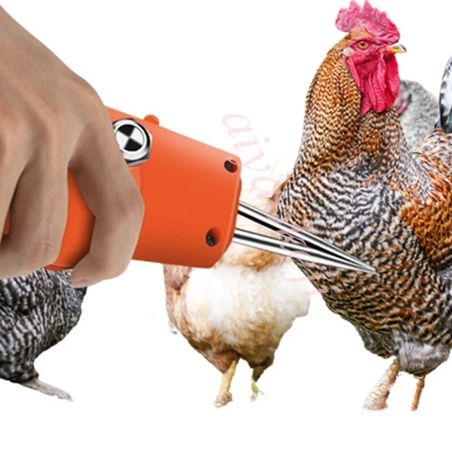 Electric Poultry Plucker Chicken Birds Dove Feather Removing Machine - Bild 3 von 6
