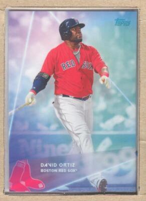David Ortiz #69 2020 Topps X Steve Aoki