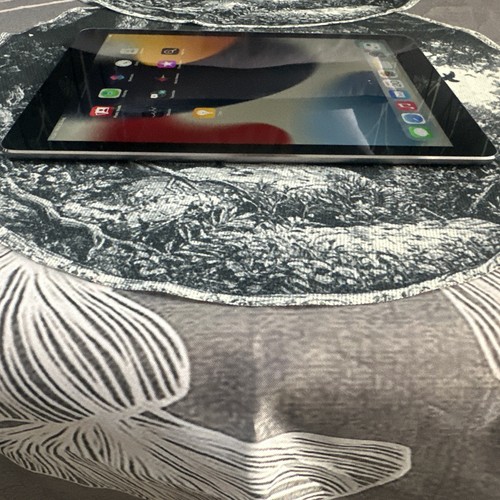 Apple iPad Air 2 16gb Wi-Fi + 4G Cellular 9.7" great condition - Picture 6 of 11