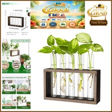 Propagation Station 5 Test Tubes Wood Stand Glass Vases Wall Mountable Desktop