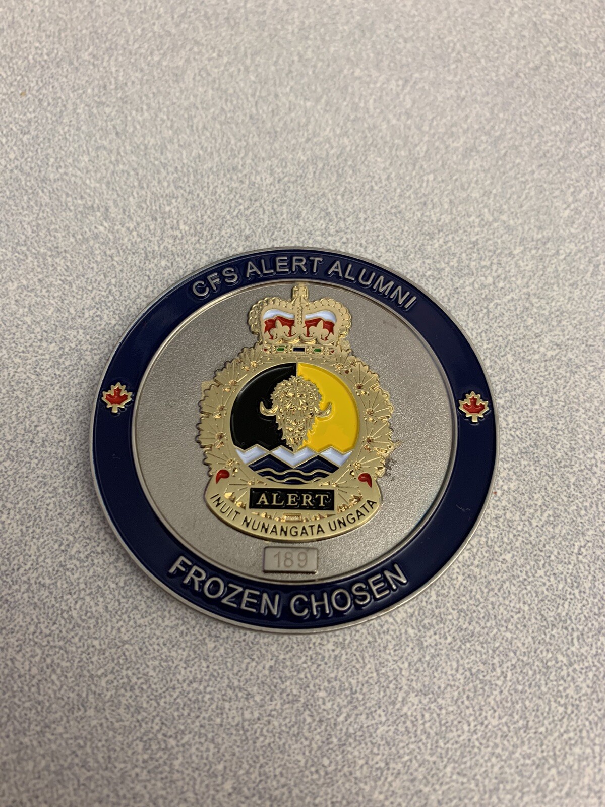 Canadian Military Challenge Coin. CFS ALERT Alumni Frozen Chosen | eBay