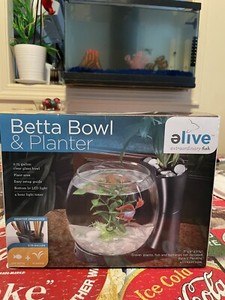 Elive Betta Fish Bowl & Planter Set Up Kit de réservoir blanc .75 C'est moi. LED Minuterie légère
