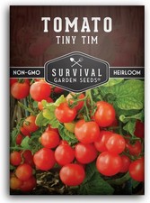 Tiny Tim Tomato Seeds - Organic Dwarf Cherry for Indoor or Patio Planting