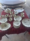 Rosenthal Moss Rose China Set 1950-1964
