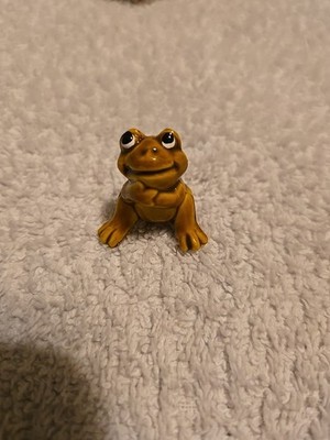 Coqui Frog With Heart Shaped Case