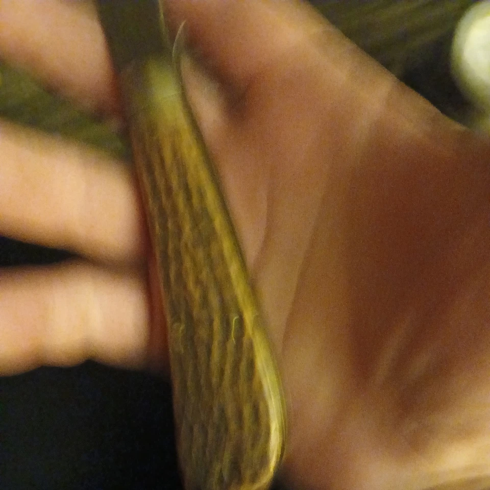 Case XX 61011 Foto 3 de 3