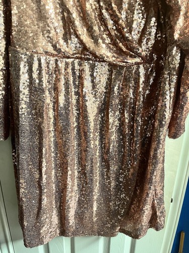 NWT Fabulous Lane Bryant Rose Gold Sequined Dress Size 22 - Afbeelding 3 van 5