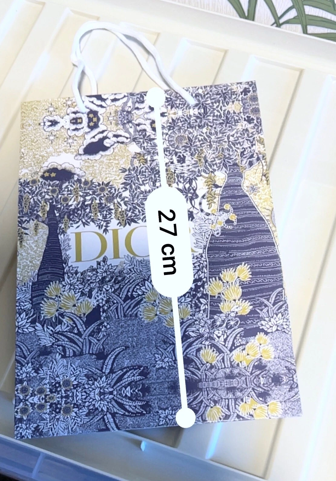 Sacs Dior Carry Sac Cadeau Bleu avec Poignées Corde Blanche