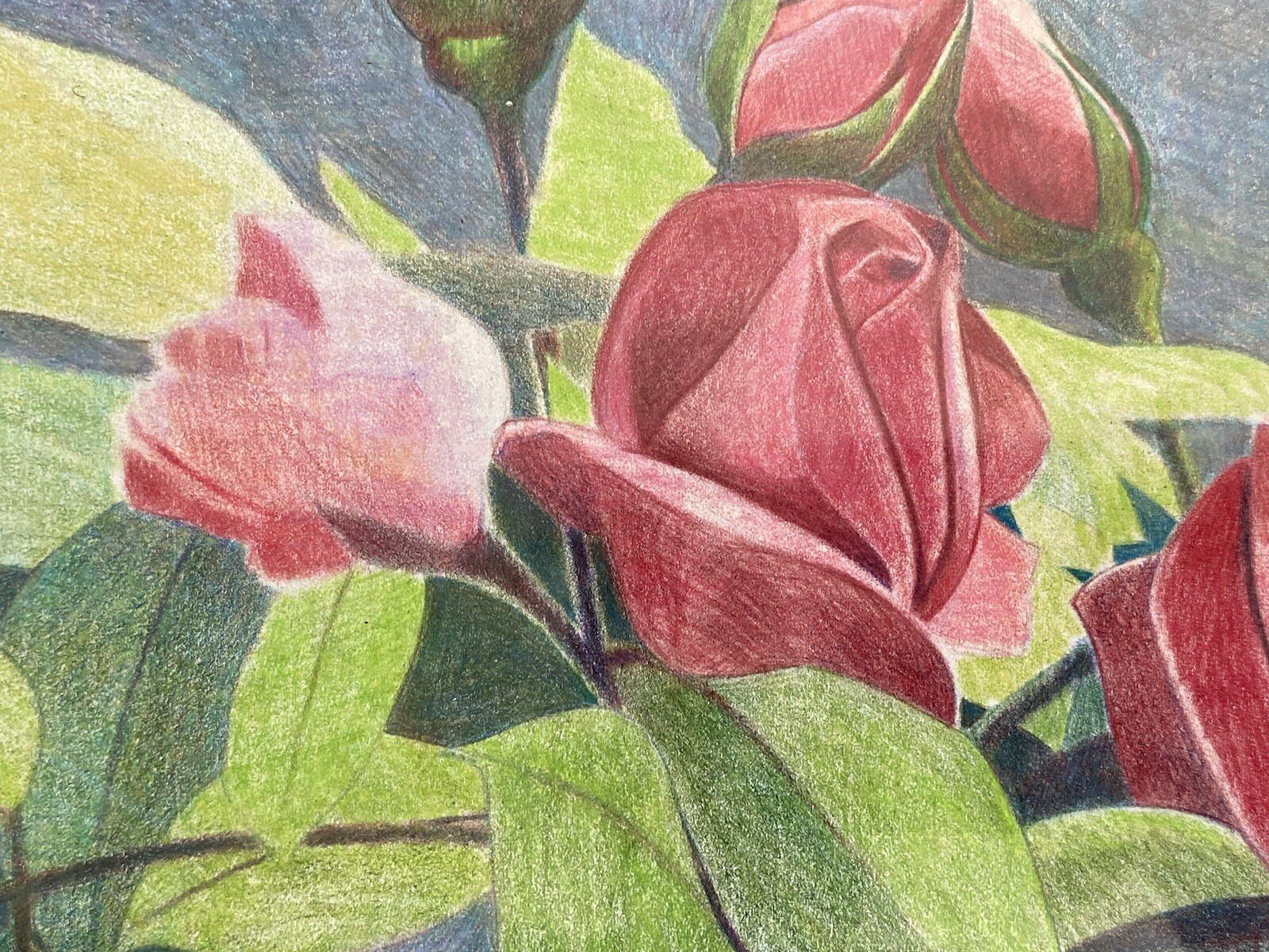 Picture 6 of 22