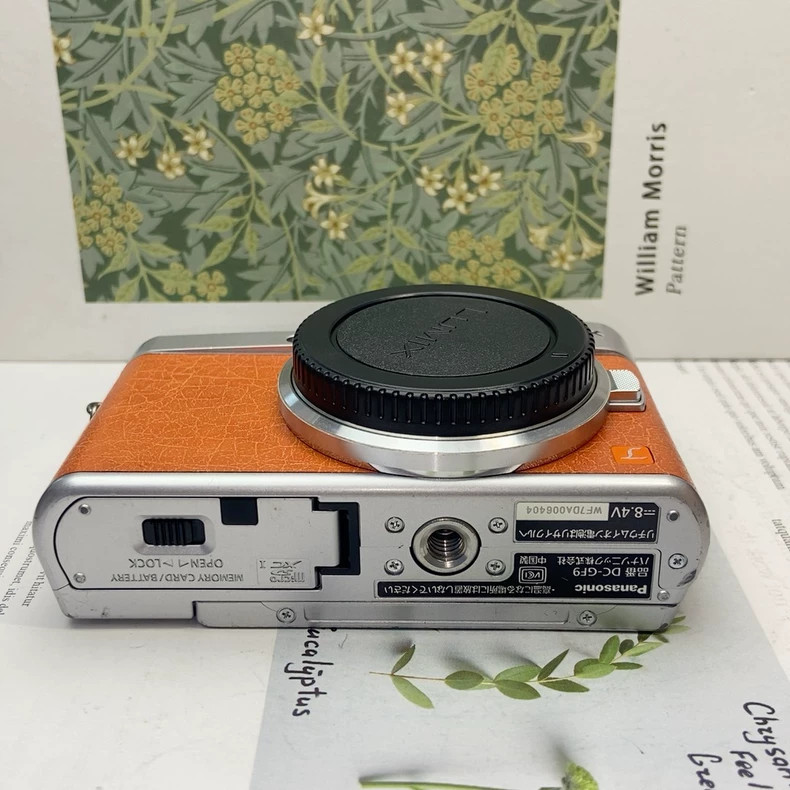 Panasonic LUMIX DC GF9 Flip Screen 4K WiFi Mirrorless Camera with