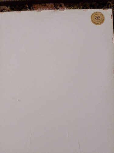 N.5 Stampe Incisione Disegni Masutti 28x34 - Imagen 10 de 15