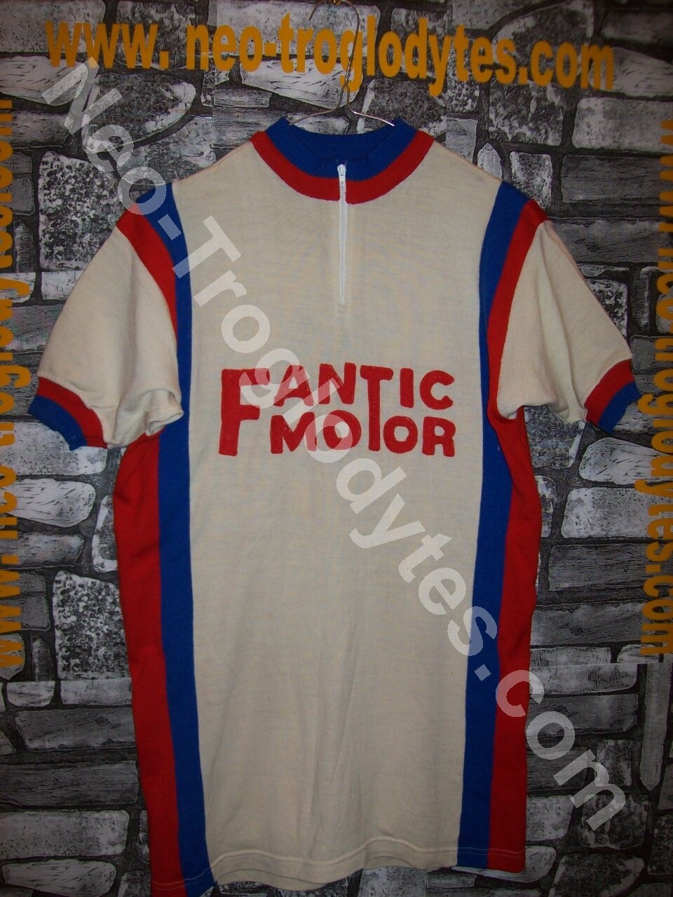 Vintage Cycling Jersey Maglia Ciclismo Bici GS Fantic Motor Bologna '70s  Eroica | eBay