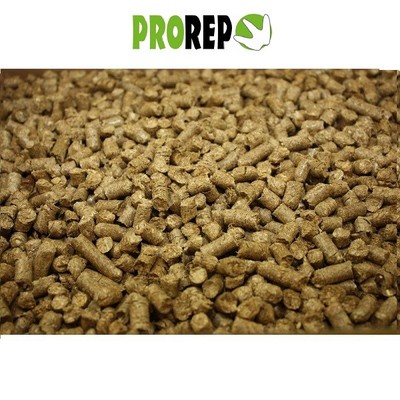 tortoise hay bedding