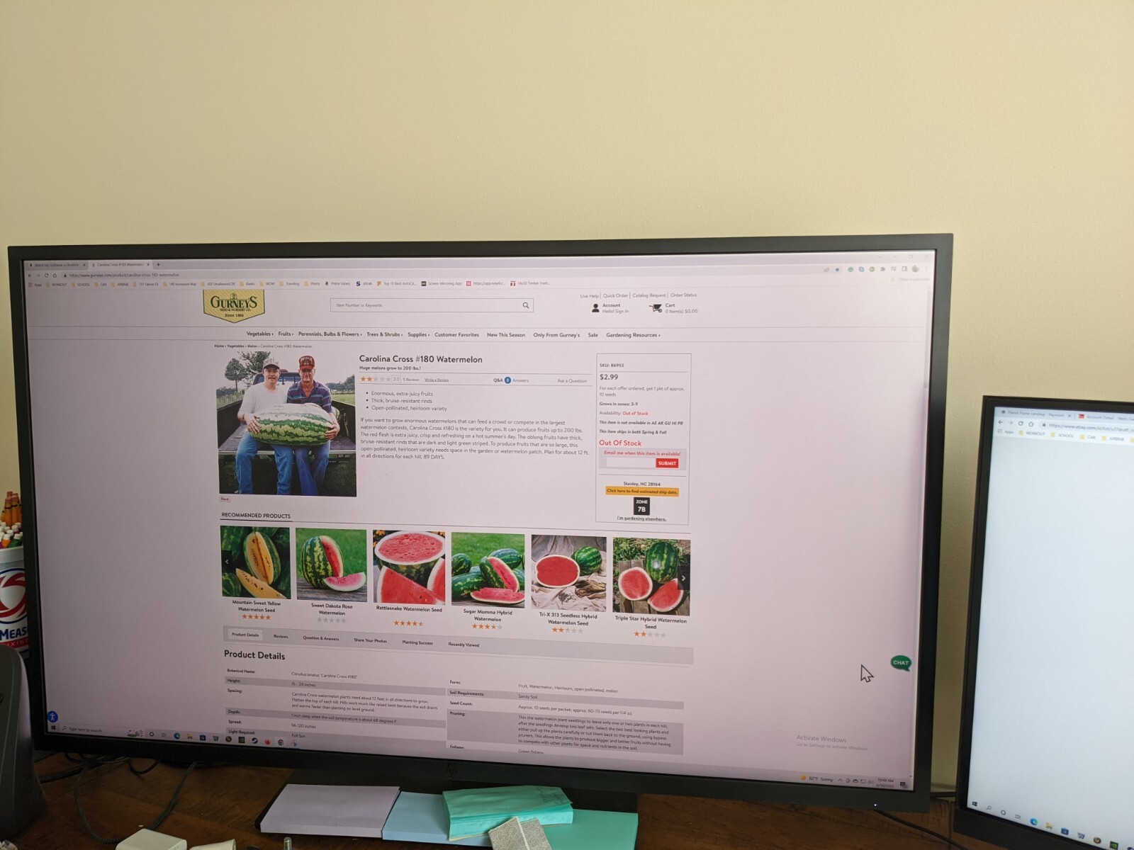 HP Z43 42.5" 4K UHD Widescreen LCD Monitor, 350Nit, 169, 5ms, HDMI, HP