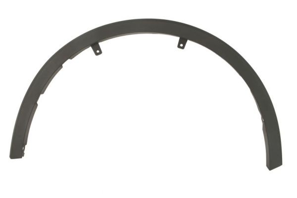 Left Front BLIC 5703-08-8182375P Trim/Protection Strip, wing for TOYOTA