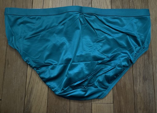 Plus 14/16 Lane Bryant Cacique No Show Hipster Nylon Faux Satin Silk Teal Aqua - Picture 2 of 5