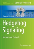 Xiaochun Li | Hedgehog Signaling | Taschenbuch | Englisch (2022) | Xi | Humana