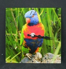 15 CM AUSTRALIAN RAINBOW LORIKEET GLASS WALL CLOCK COLLECTABLE CLOCK  HOME DECOR