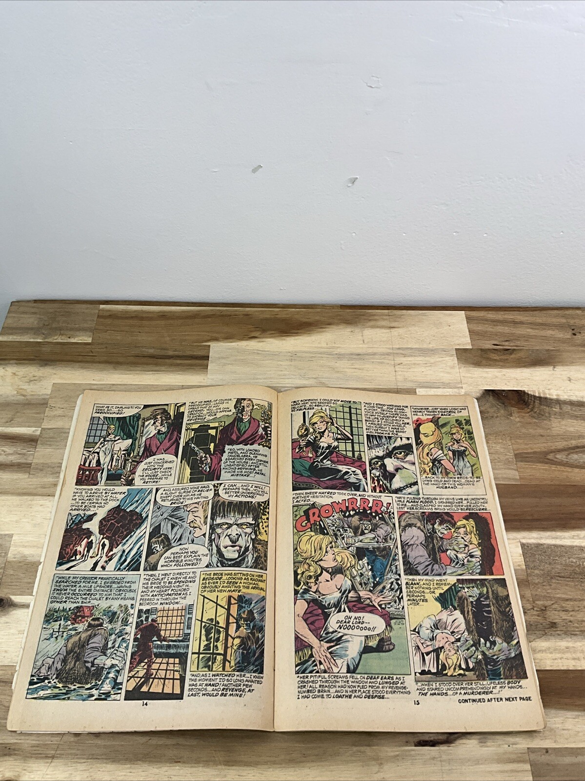 Picture 10 of 11